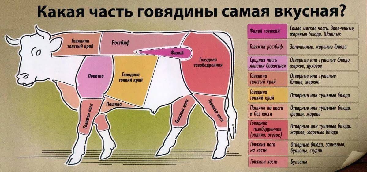 Лучшее из говядины: ТОП 10