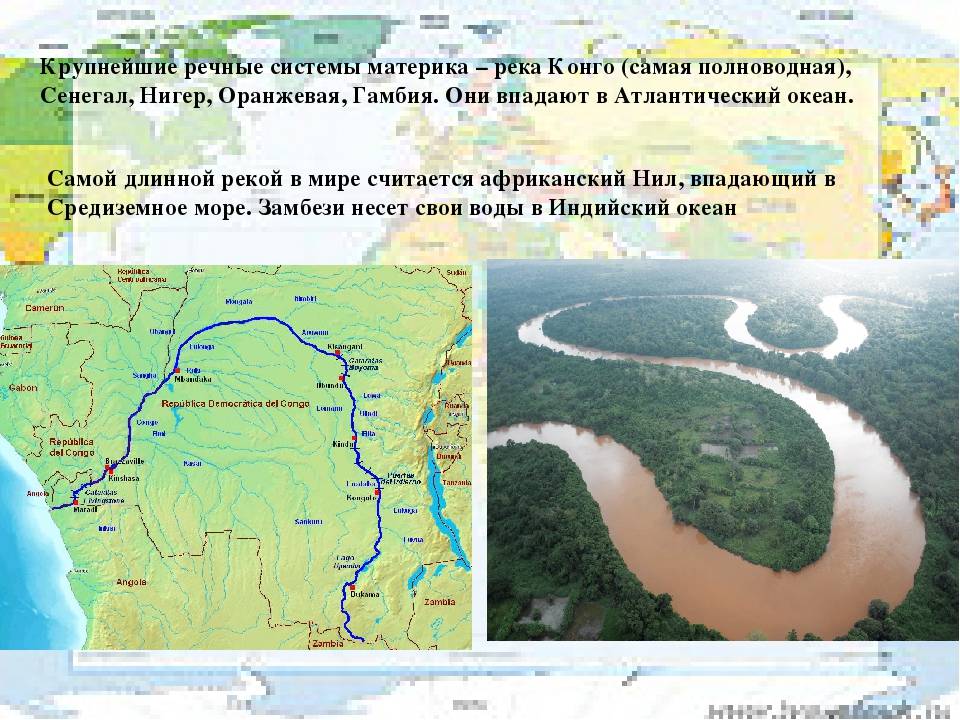 Река конго: глубина реки, где находится на карте, описание