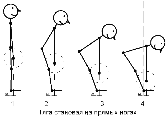 Мёртвая (румынская) тяга: правильная техника выполнения