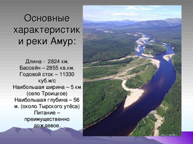 Значение составления чертежа реки амура с точки зрения экономики