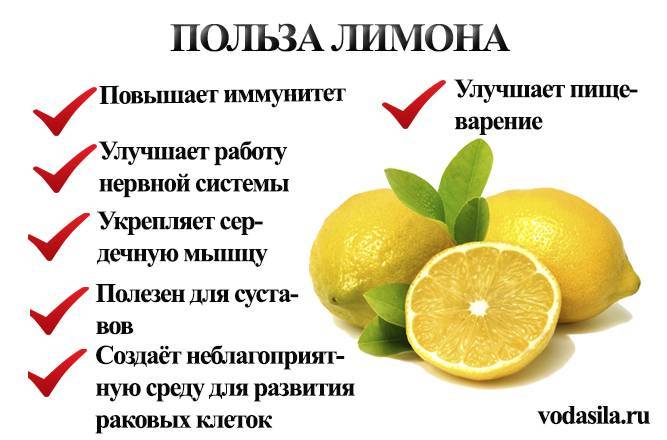 Как влияет вода с лимоном. Польза лимона кратко. Чем полезен лимон. Полезные свойства лимона. Чем полезен лимон для организма.