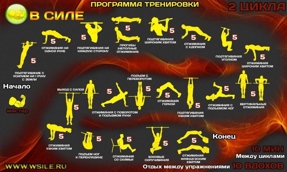 Зачем менять программу тренировок и как часто это делать. tribunsky.ru