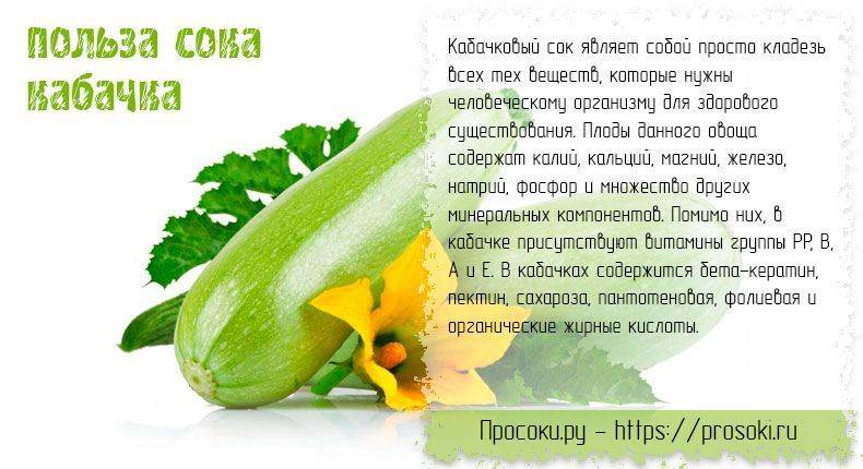 Кабачки: польза и вред для организма, свойства овоща и варианты употребления в пищу