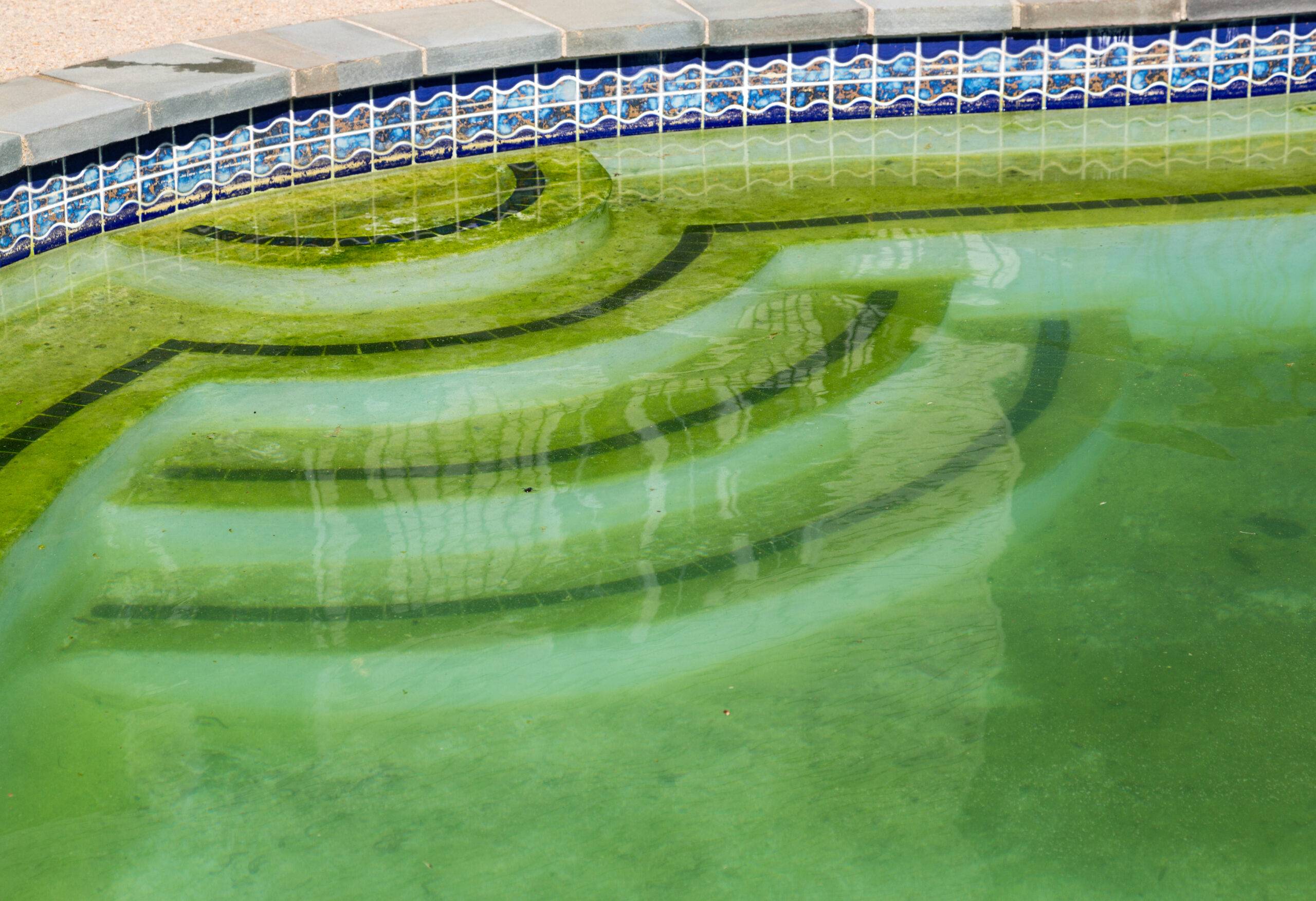 Бассейн позеленел... что делать? и как не допустить появления водорослей снова?