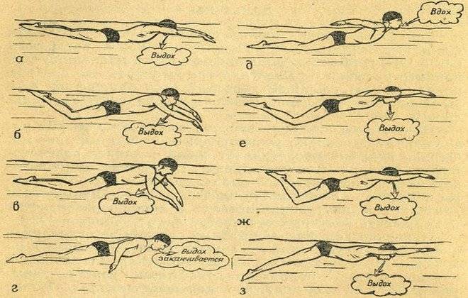 Как научиться плавать самостоятельно: техники, упражнения,правильное дыхание и отработка движений