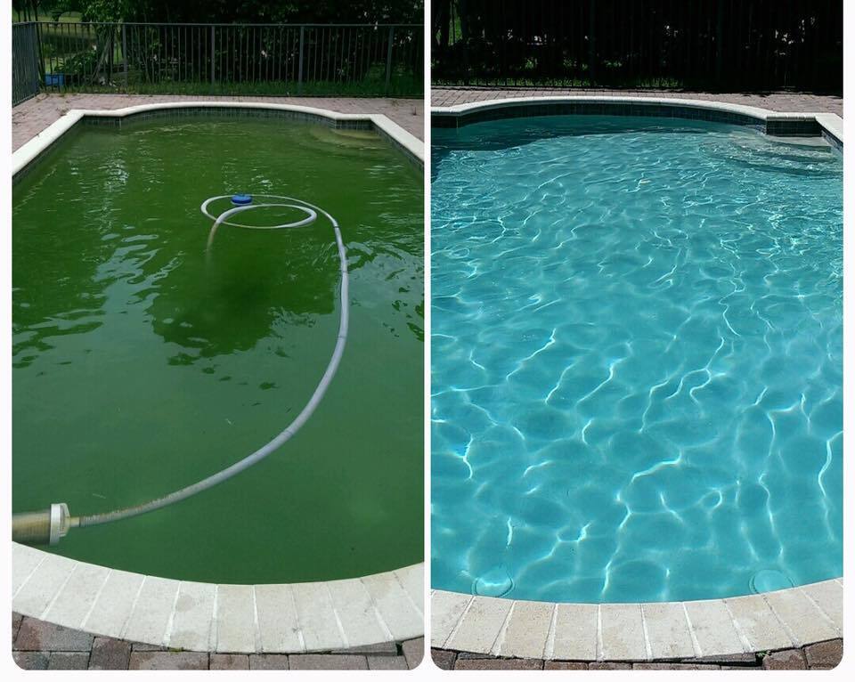 Почему зеленеет вода в бассейне