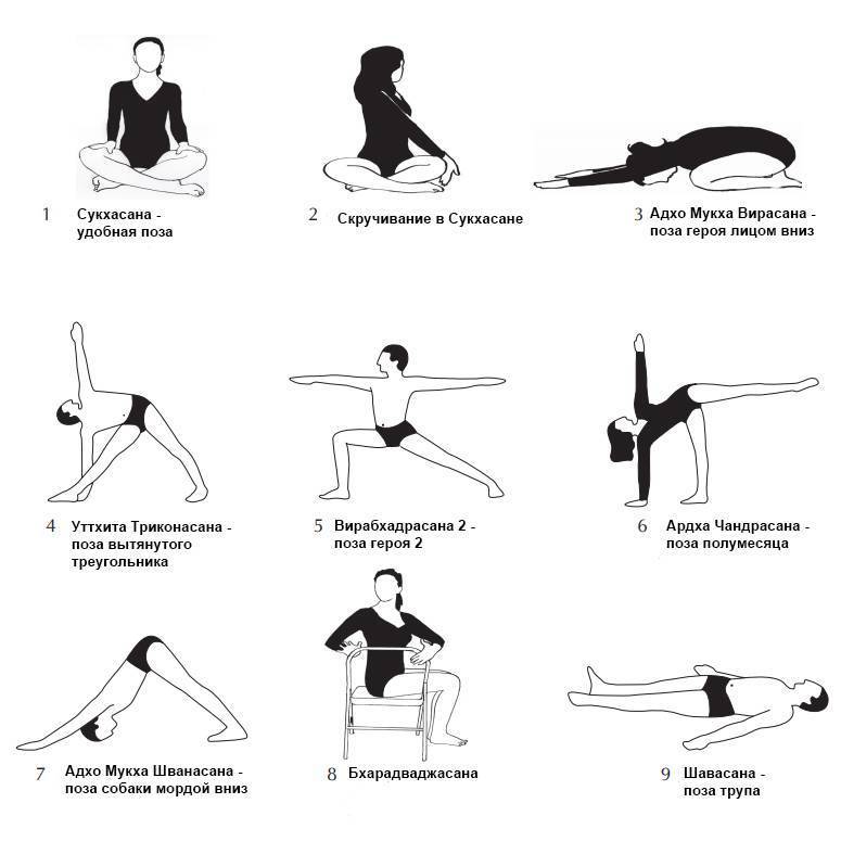 Гимнастика йога для начинающих, асаны (позы) и комплексы хатха-йоги, дыхательные упражнения