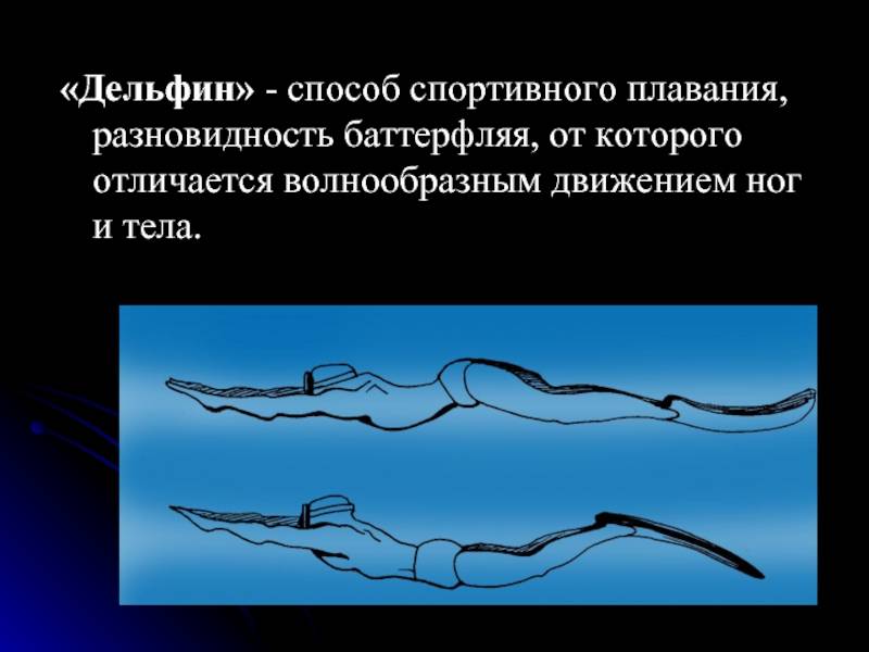 ✅ как правильно плавать дельфином - velomania.su