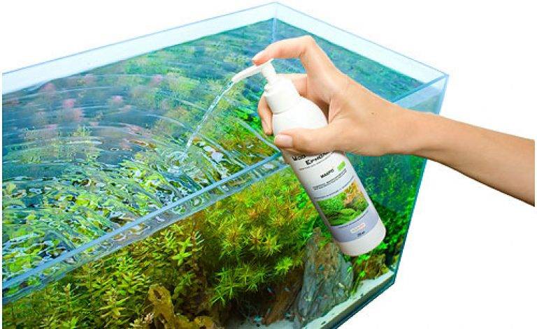 Отвечаем на вопрос — можно ли заливать бутилированную воду в аквариум?