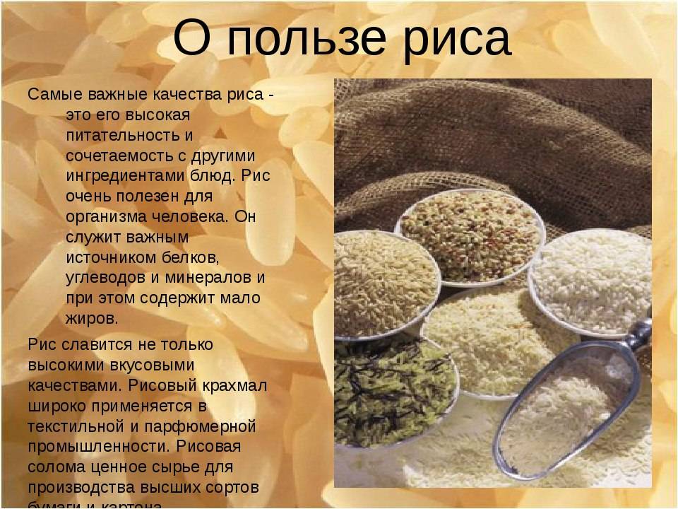 Рис: польза и вред, пищевая ценность риса, рис в народной медицине