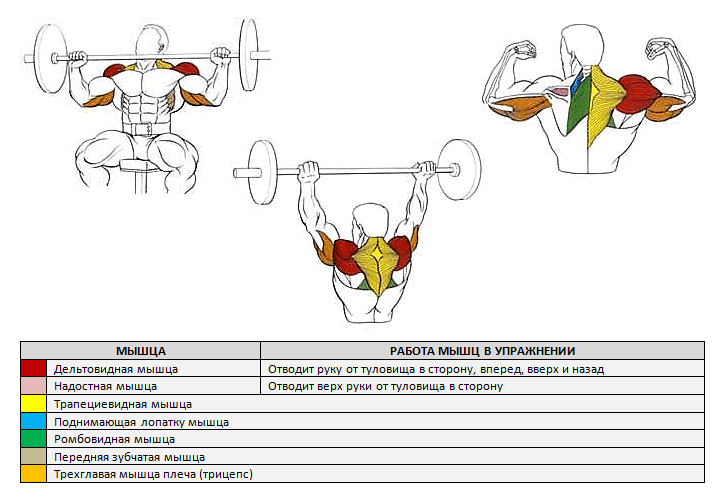 Упражнения на плечи с гантелями: топ упражнений накачать дельты