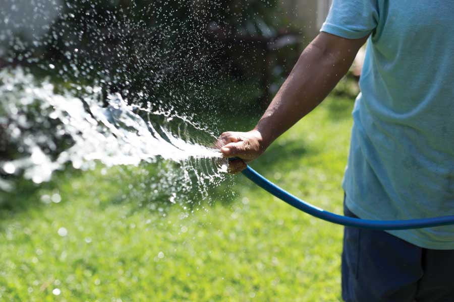 Освежение или вред: можно ли поливать газон холодной водой в том числе из скважины?