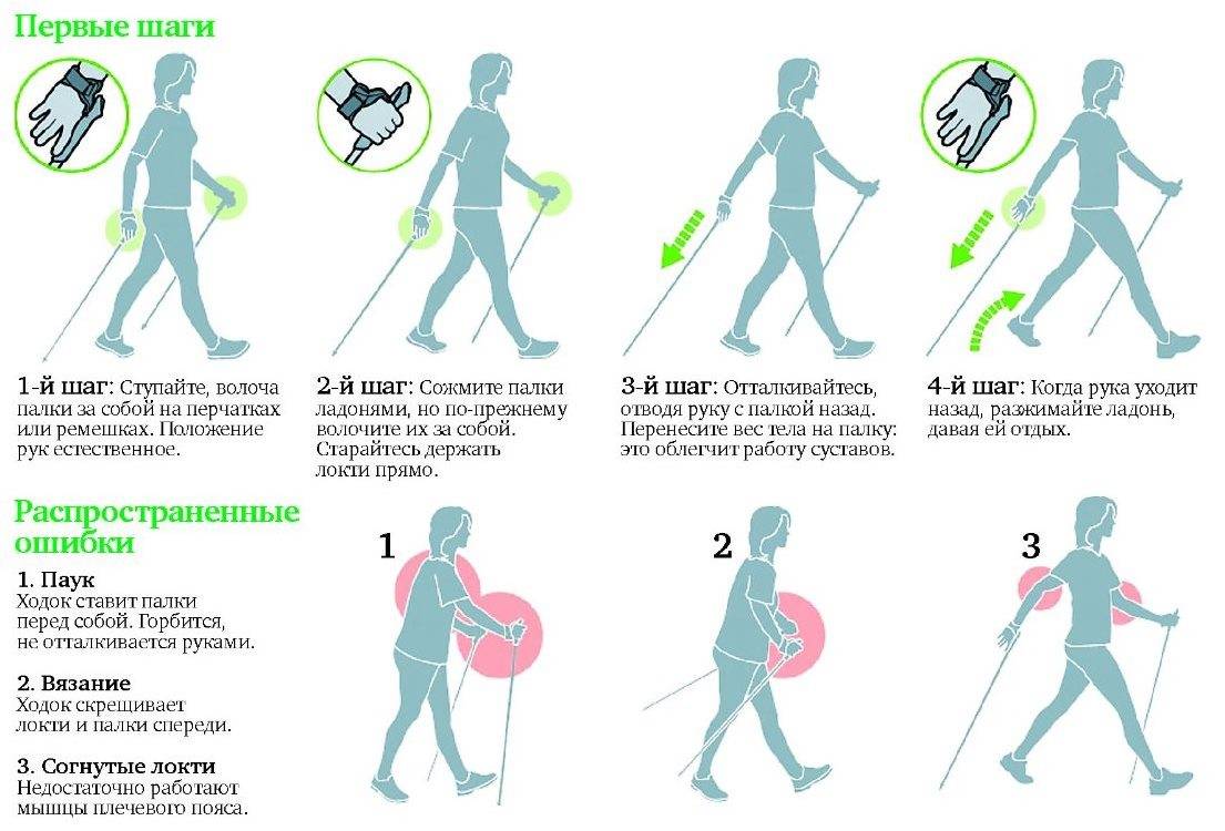 Нордическая ходьба - оздоровительный эффект, повышение выносливость - инструкции, техника