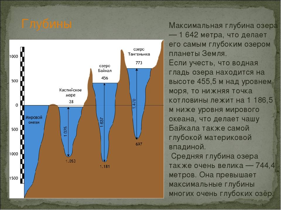 Река обь: на карте россии, длина, глубина, ширина, притоки, рыбалка