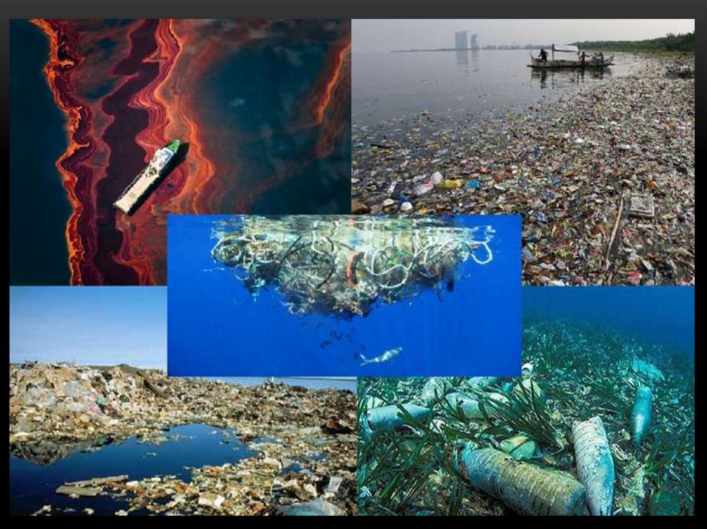 Восемь экологических проблем черного моря и пути их решения