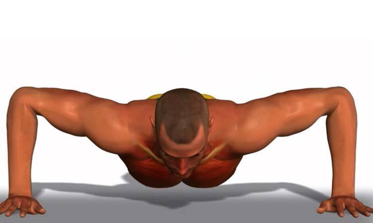 Как правильно отжиматься от пола мужчинам: техника выполнения отжиманий с нуля, чтобы накачать грудные мышцы и трицепсы