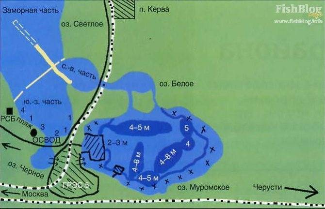 Озеро святое в шатуре: рыбалка, отдых с палатками, отзывы, сайт, карта, отели – туристер.ру
