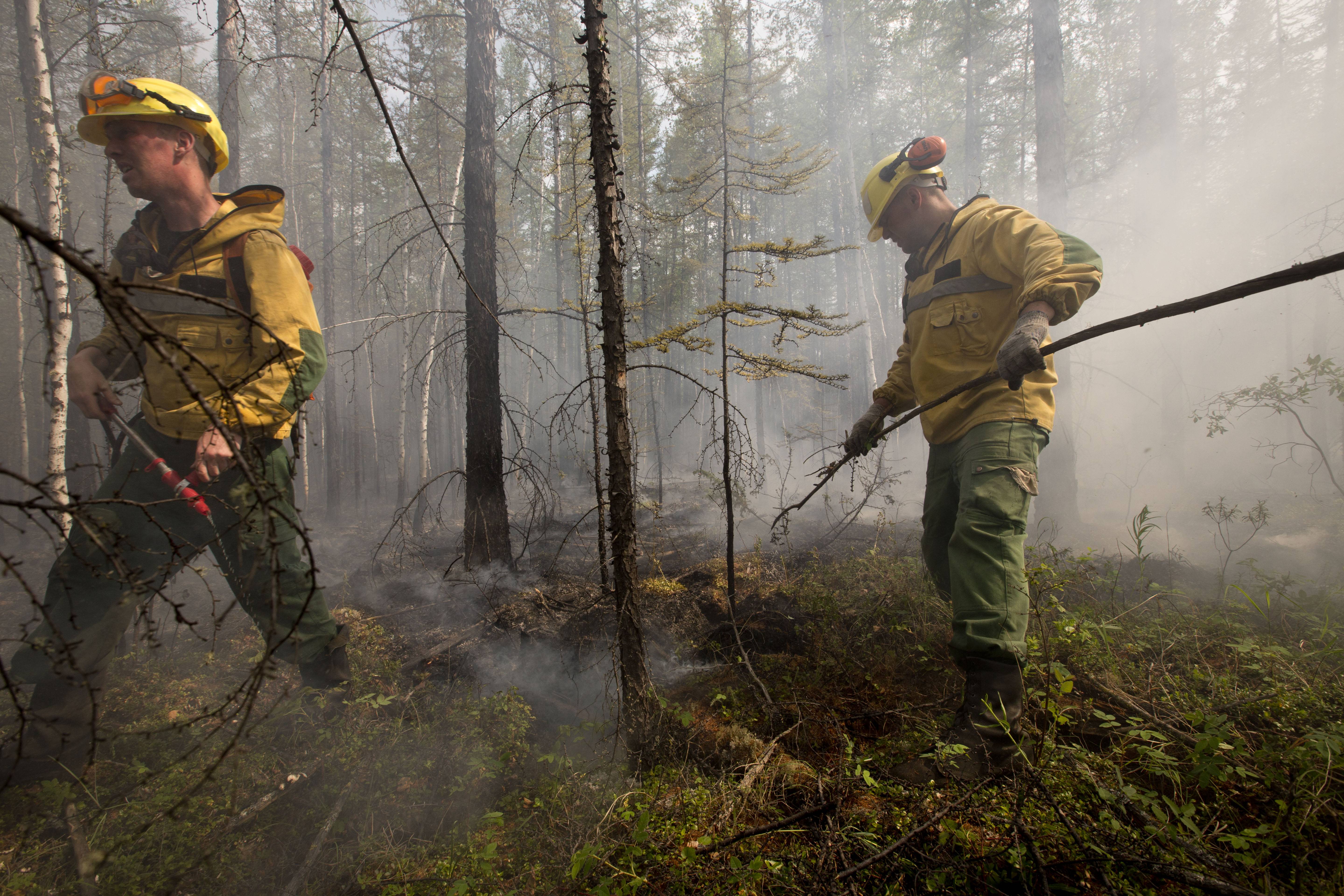 Природные пожары. тушение лесных пожаров