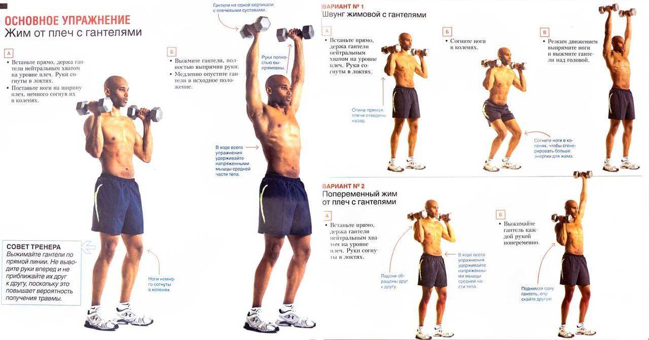 Обзор лучших упражнений с гантелями для прокачки разных групп мышц