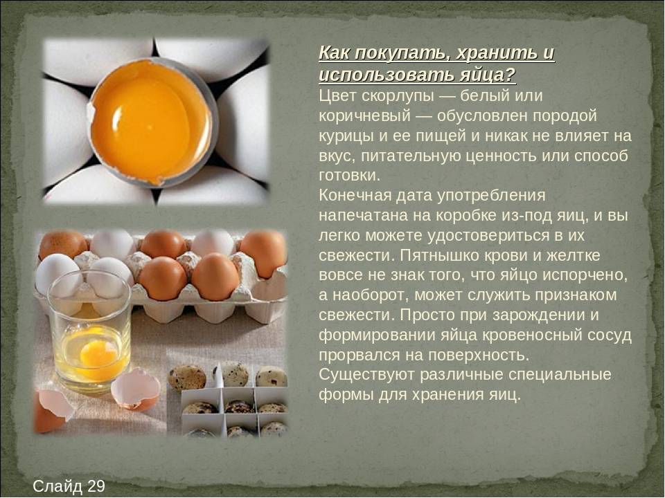 Яйцо - 30r.biz