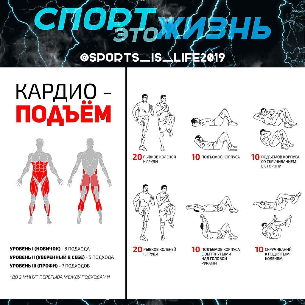 Кардиотренировки fitness3000.ru — что это такое? ответы на самые популярные вопросы
