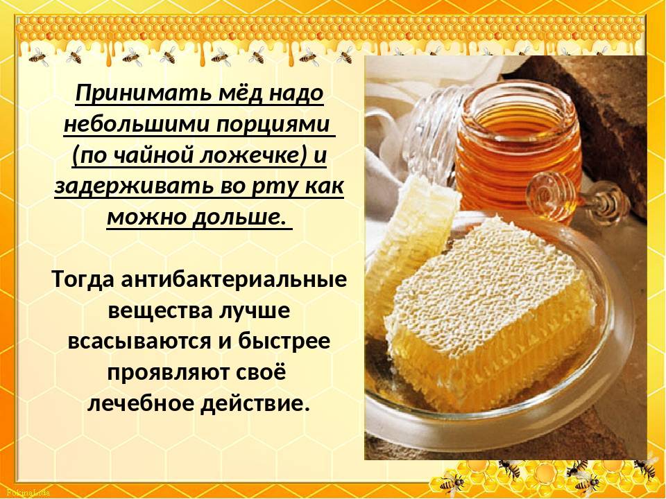 Какой мед полезнее: как отличить настоящий мед от подделки