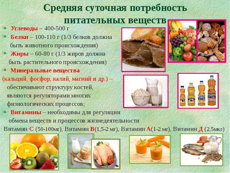 Продукты питания растительного и животного происхождения. продукты растительного происхождения: список, таблица