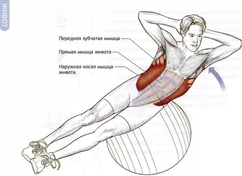 Прокачиваем труднодоступные мышцы пресса — упражнение «ножницы». правила выполнения упражнения «ножницы»
