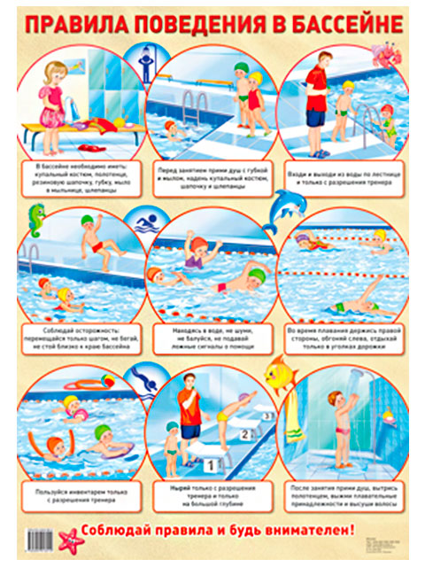 Общие правила поведения в бассейне: что можно и что нельзя?