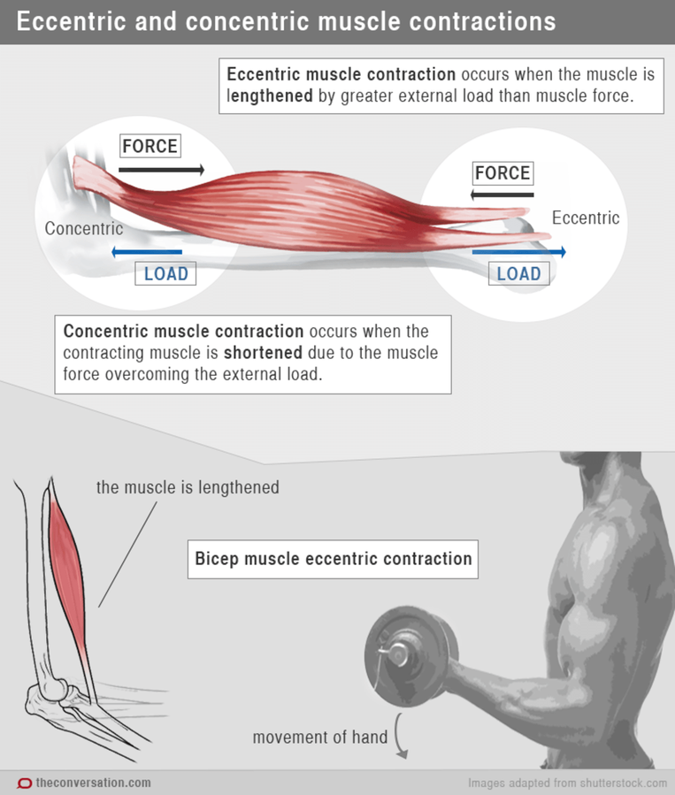 Болят мышцы после тренировки | боль после физической нагрузки - что делать?