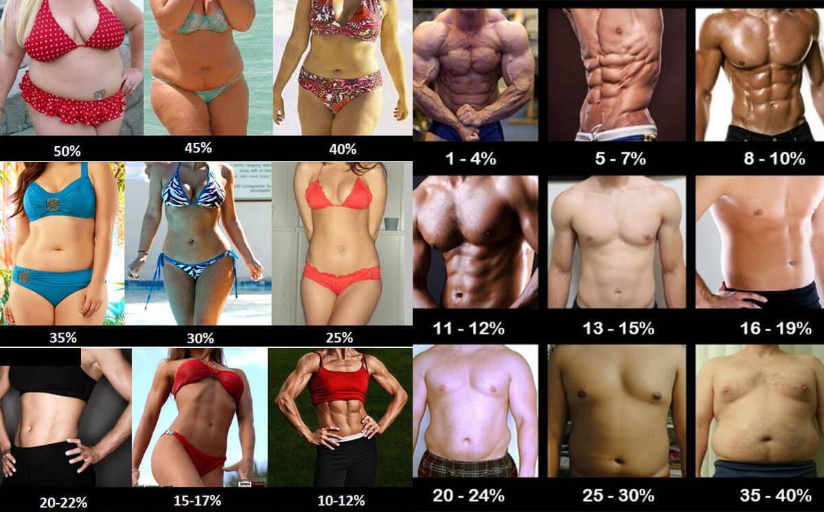 Познавательно: норма процента жира в организме мужчин и женщин