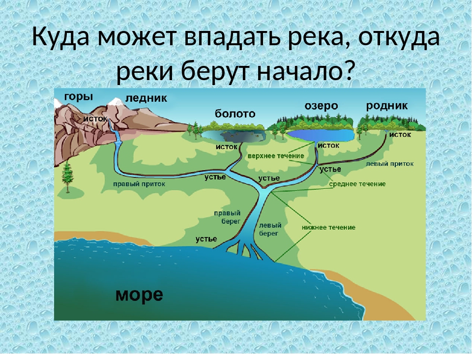 Река енисей: где находится, исток, ширина, глубина, длина, куда впадает