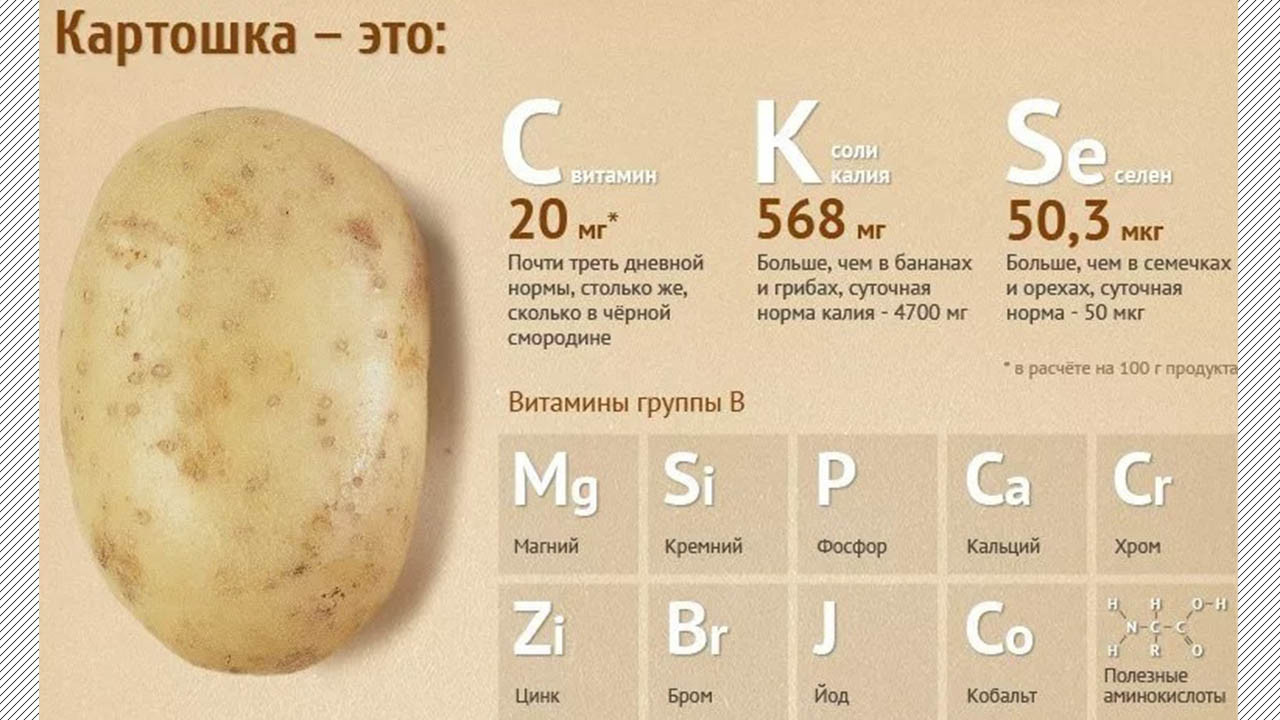 Сколько калорий в картошке на 100 грамм, калорийность картошки вареной, жареной, в мундире, фри