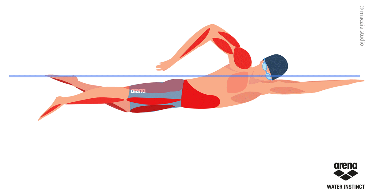 Как правильно посещать бассейн для того, чтобы укрепить все группы мышц
