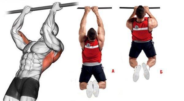 Какие мышцы работают при подтягивании: прокачайте группы целевых мышц