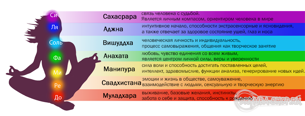 Муладхара за что отвечает. Чакры человека их расположение и цвета и характеристика. 7 Чакр человека их цвета. Чакры таблица соответствий. Таблица 1 основные чакры.