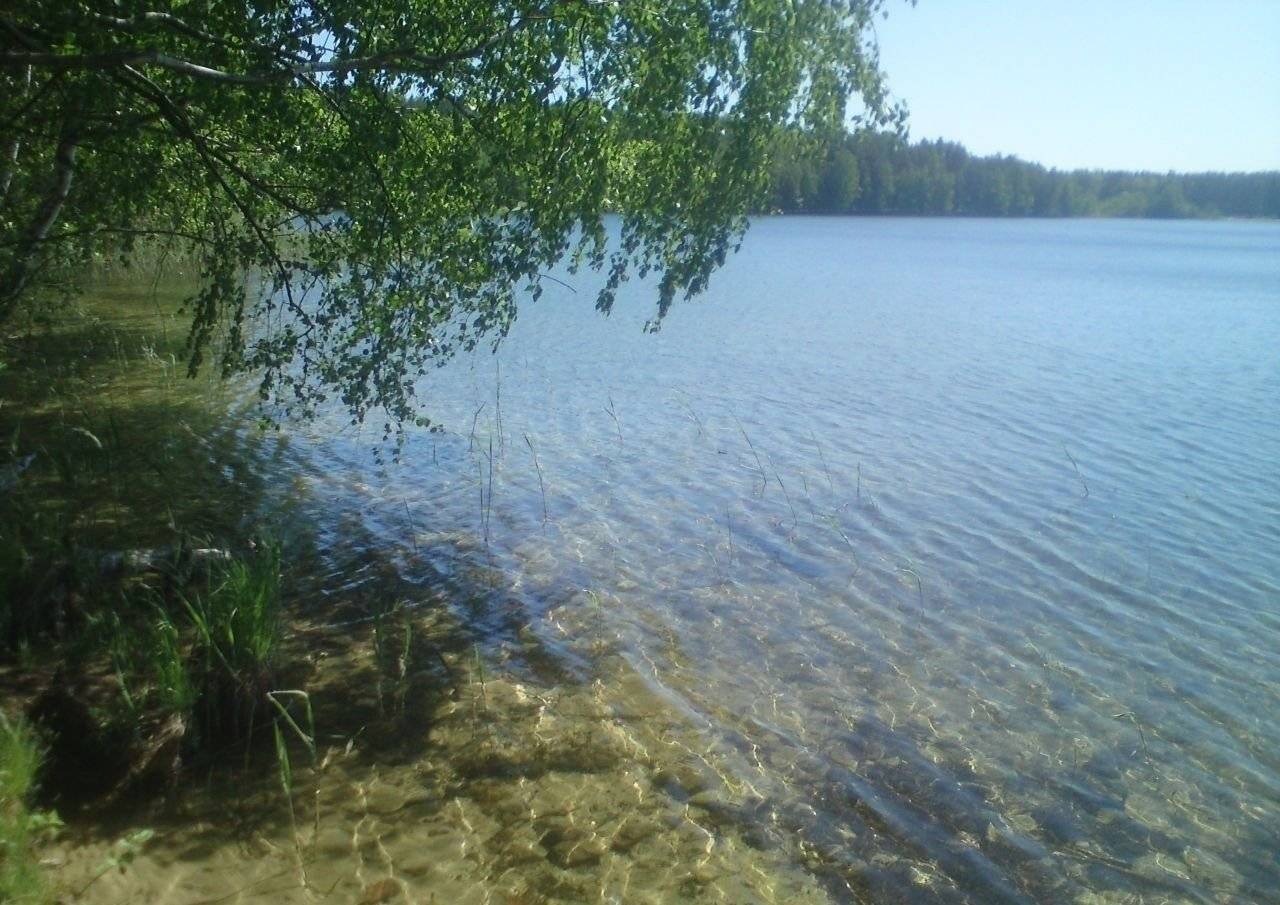 Святое озеро (шатурский район) — обзор
