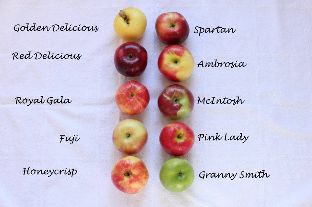 Яблоко: калорийность на 100 грамм, 1 шт