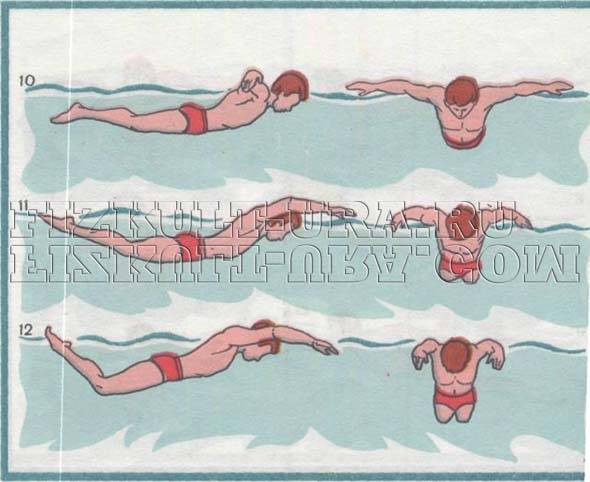 Как правильно плавать баттерфляем на груди