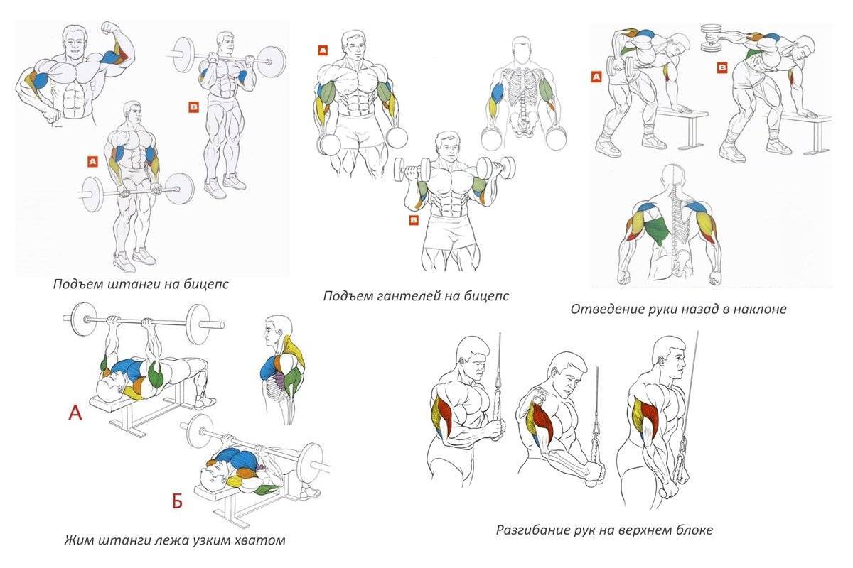 Топ‐5 упражнений при артрозе плечевого сустава по методике доктора сергея бубновского