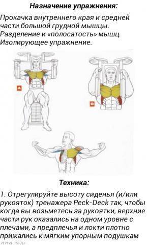 Как накачать внутреннюю и центральную часть груди, как накачать верх, средину и низ грудной мышцы в домашних условиях, как накачать большую грудную мышцу