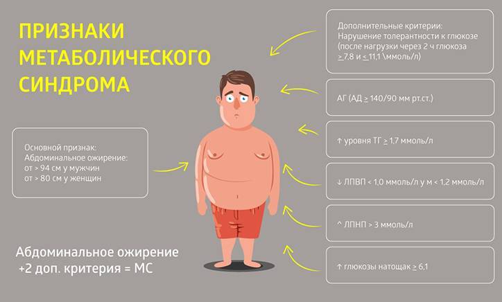 Метаболический синдром картинки