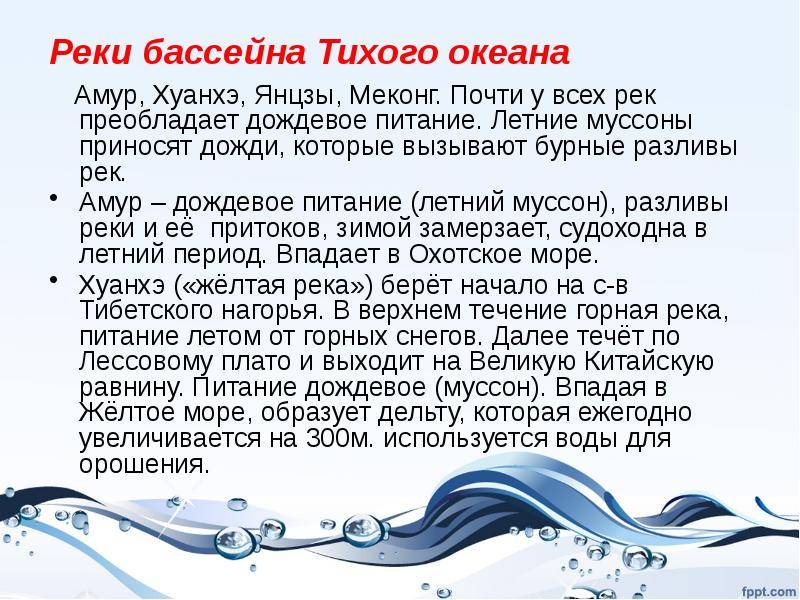 Какие реки впадают в тихий океан