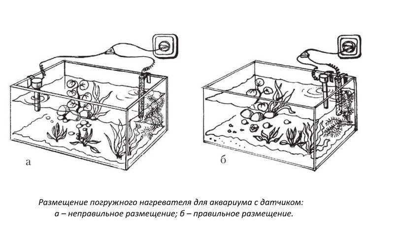Как отстоять воду для аквариума перед запуском: зачем, в чём, сколько времени