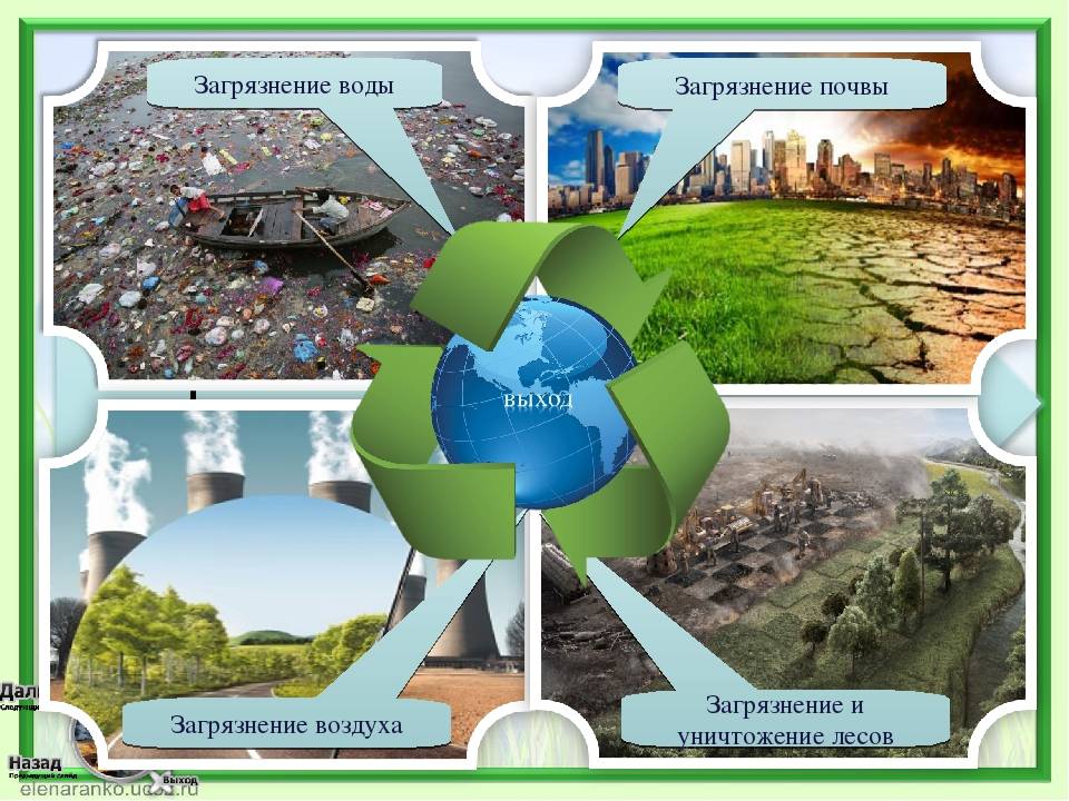 Меры борьбы с загрязнением природной среды и методы защиты природной среды