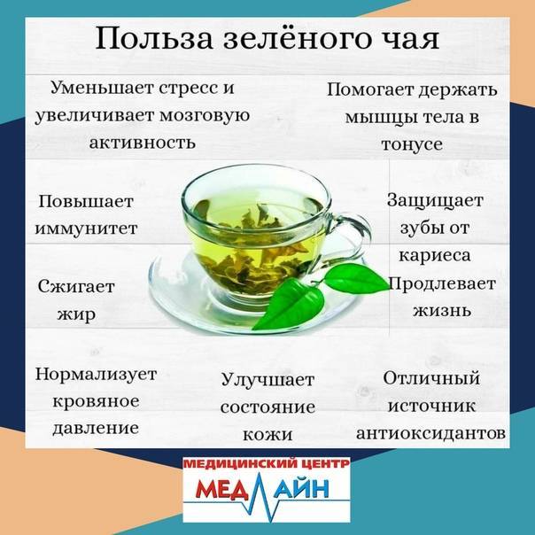Мифы о пользе зеленого чая - зеленый, чай, женьшеневый, чай, плиточный, чай