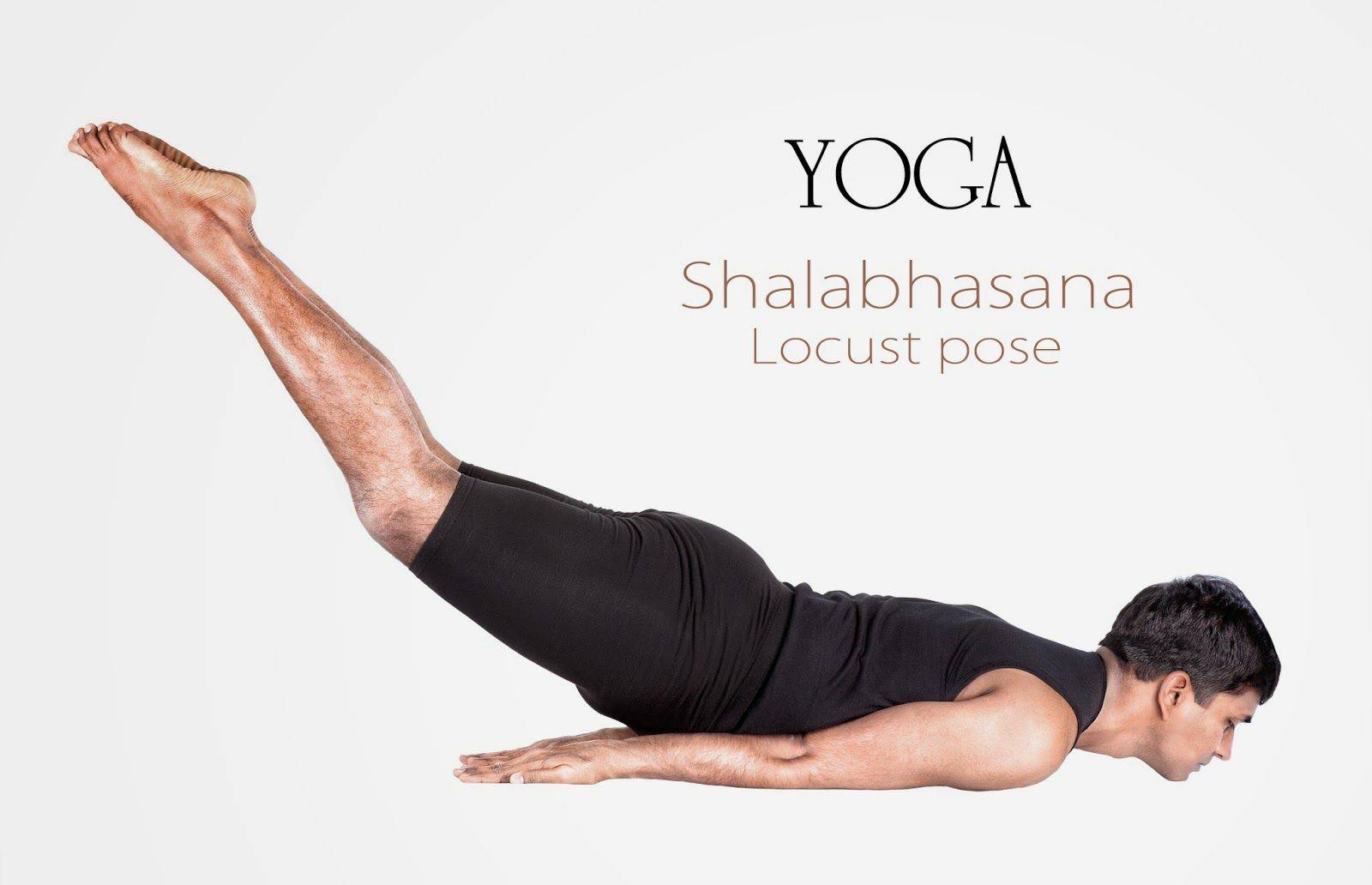 Шалабхасана или поза саранчи в йоге: техника выполнения