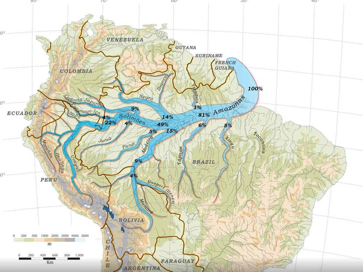 Река амазонка: обзор и характеристики, притоки, исток, устье