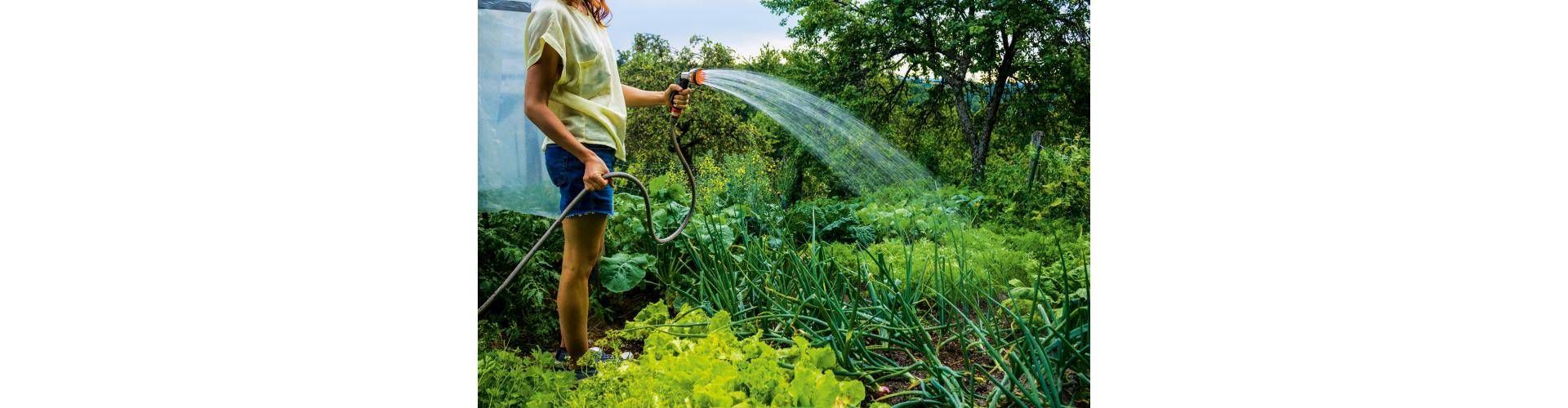 Можно ли поливать водой из бассейна огород, газон, цветы | 5domov.ru - статьи о строительстве, ремонте, отделке домов и квартир