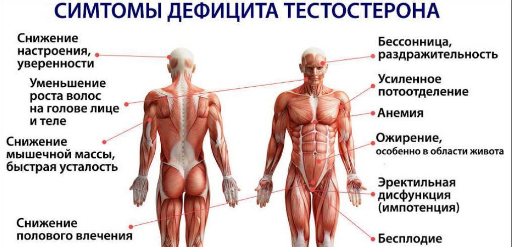 Мышечные боли в ногах (миалгия)